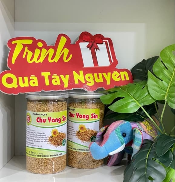 Phấn hoa cà phê